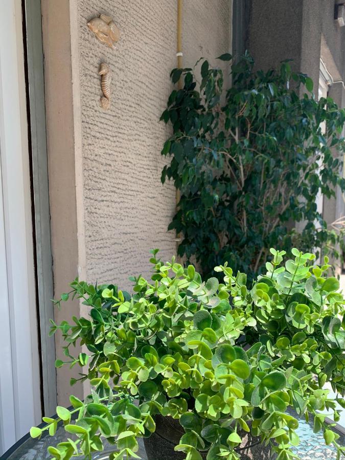 Renovated Cozy Apartment Near To Acropolis Atenas Exterior foto